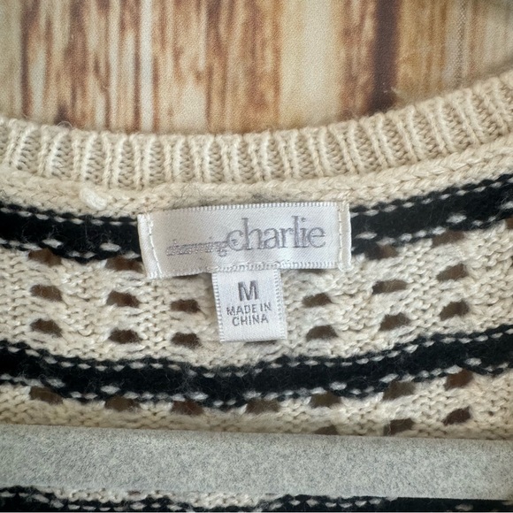 Charming Charlie Women’s Scoop Neck Striped Pullover Knit Sweater Size Medium - Picture 9 of 10